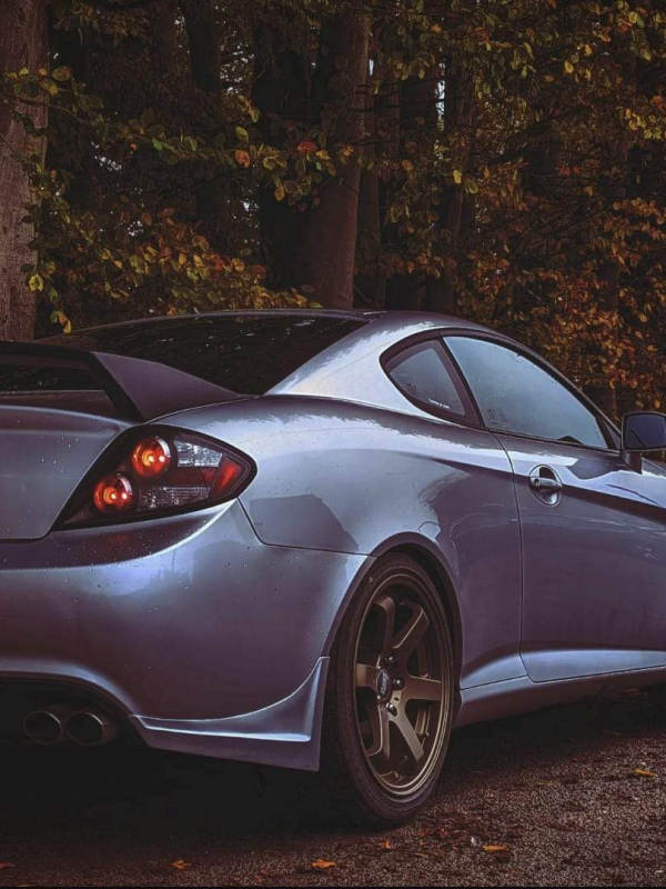 Black Stag Rear Spats - Hyundai Coupe SIII